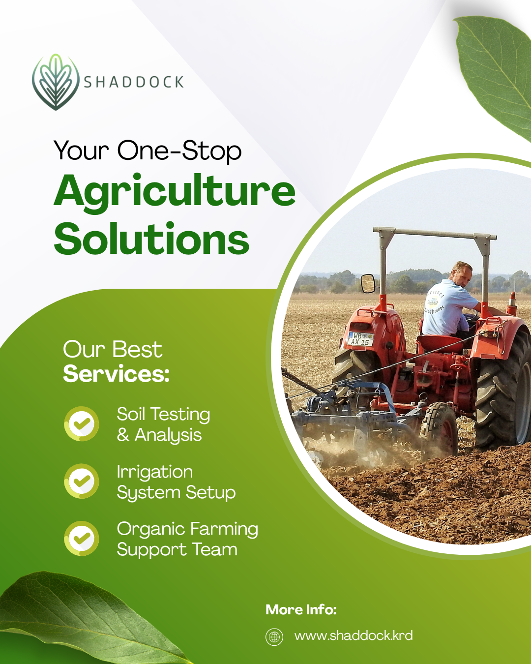 Shaddok Co. - Image 6